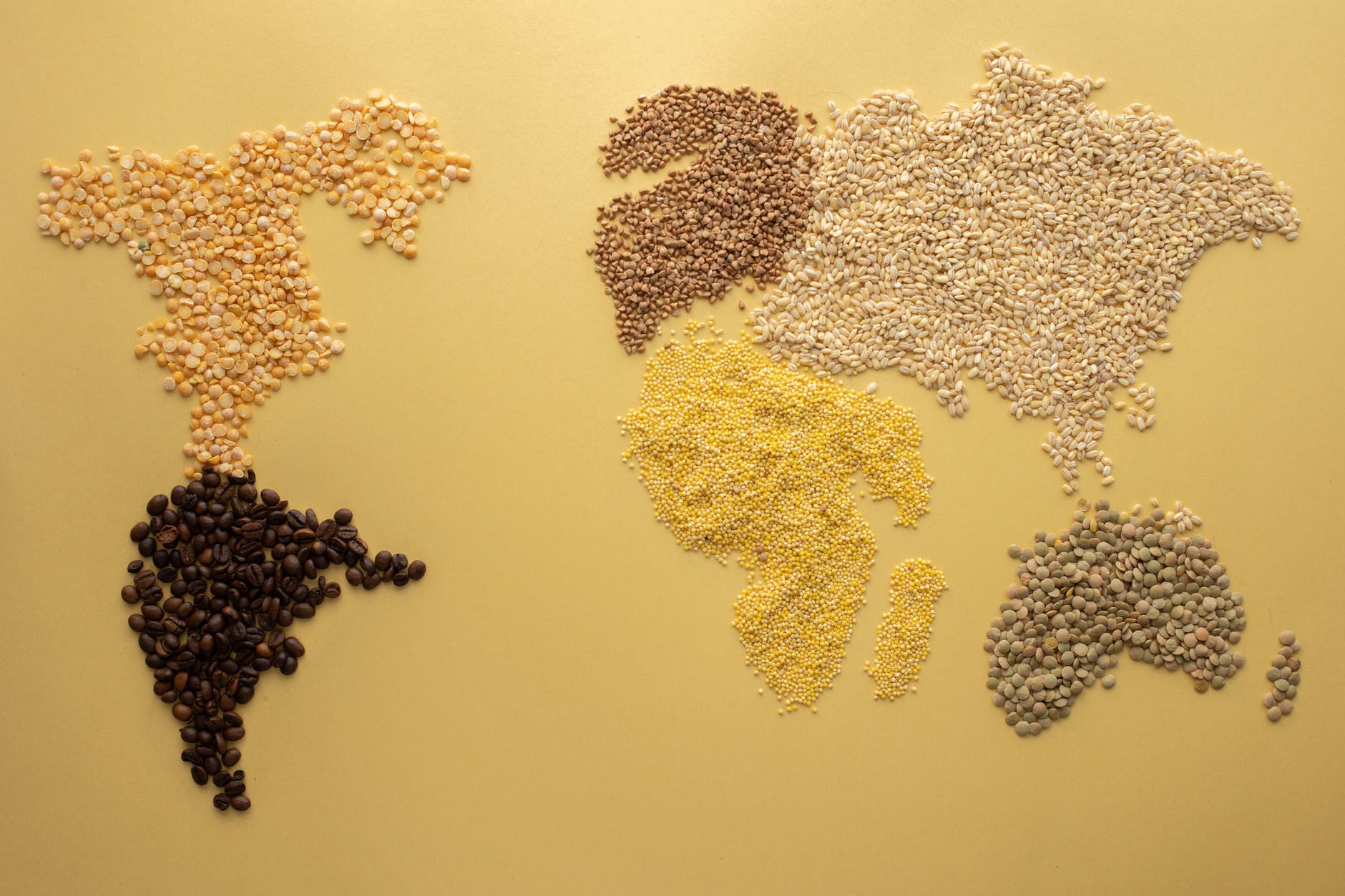 a world map made of grains and beans
